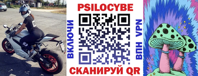 Купить где  Фатеж  Псилоцибиновые грибы мицелий 